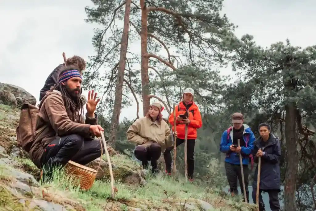 Kurs i ville vekster