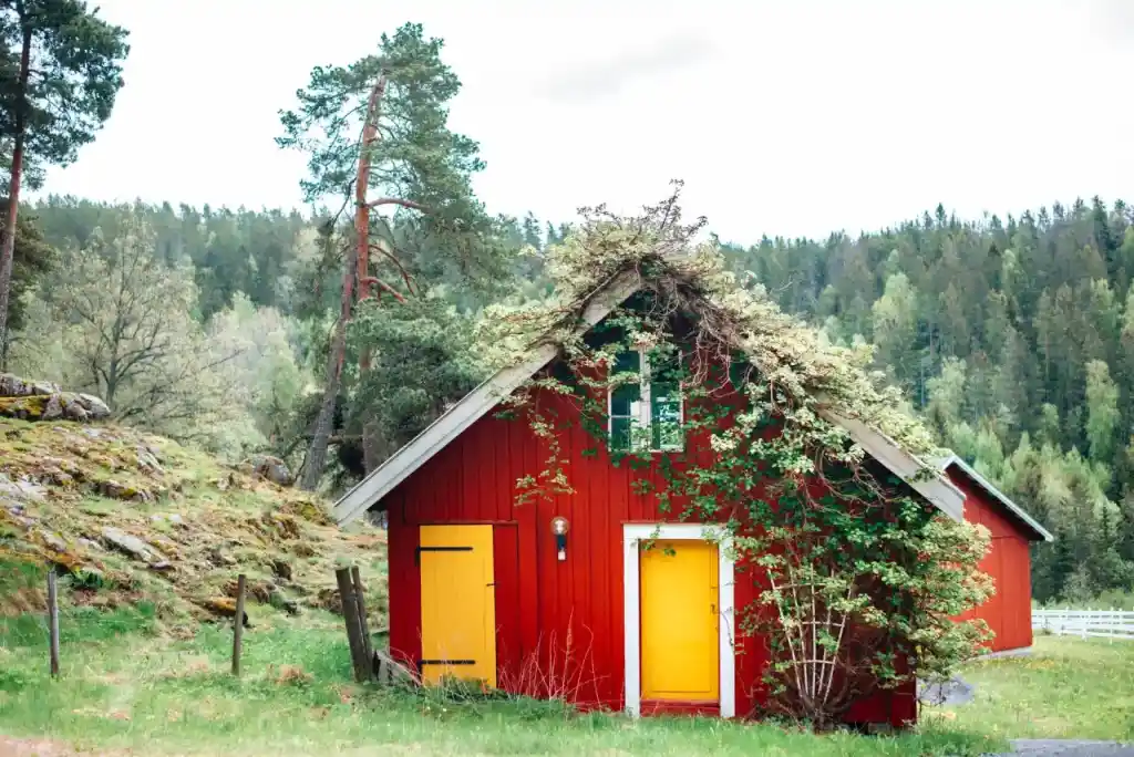 Retreat i fjellet